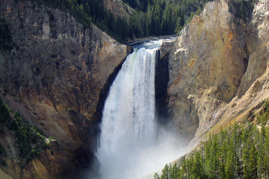 best tour companies yellowstone